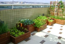 Horta Urbana: Como Cultivar Vegetais Frescos em Pequenos Espaços