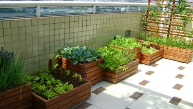 Horta Urbana: Como Cultivar Vegetais Frescos em Pequenos Espaços